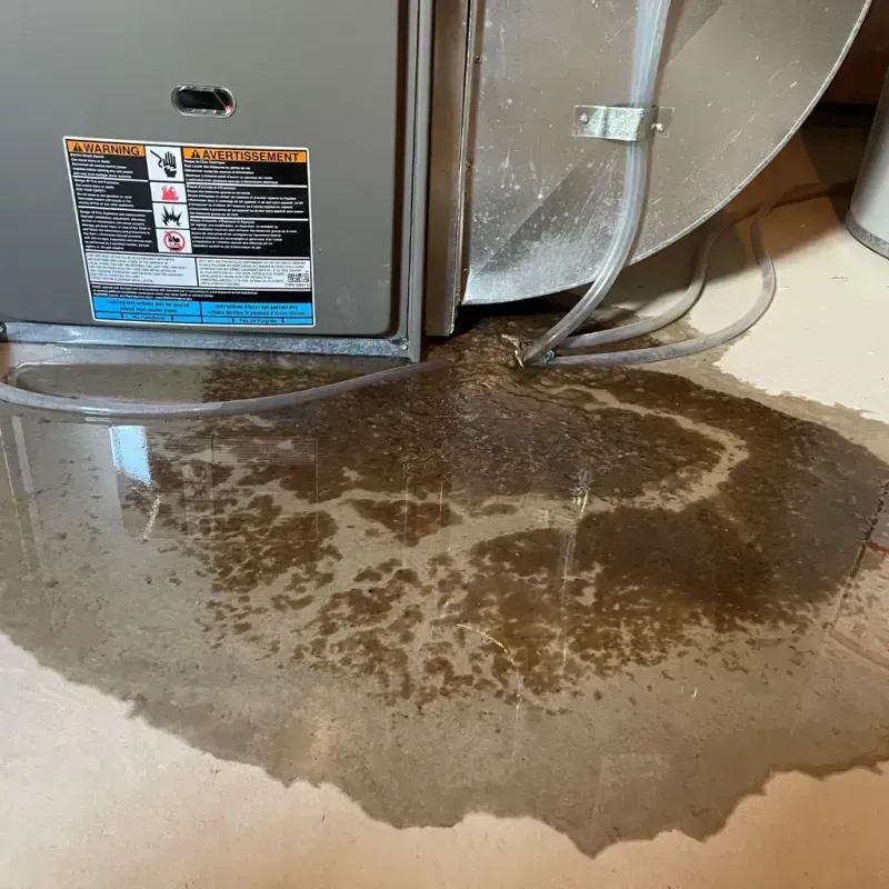 Appliance Leak Cleanup in New Smyrna Beach, FL